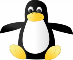 Curso online completo de Linux