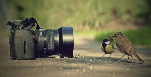 guia fotografia