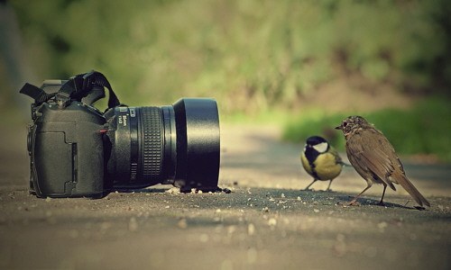 Guía de fotografía digital Guía de fotografía digital