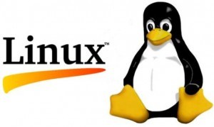 Manual de Linux gratis