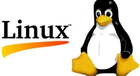 Manual de Linux gratis